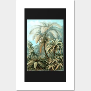 Botanical, vintage, ferns, palm trees, rainforest Posters and Art